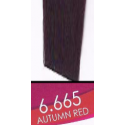 M3K-6.665 autumn red 100ml